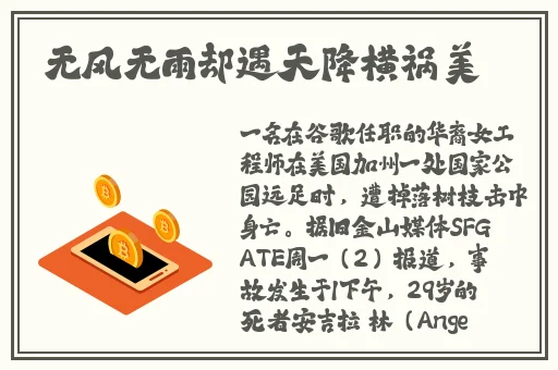 红楼王熙凤吒户一张一合